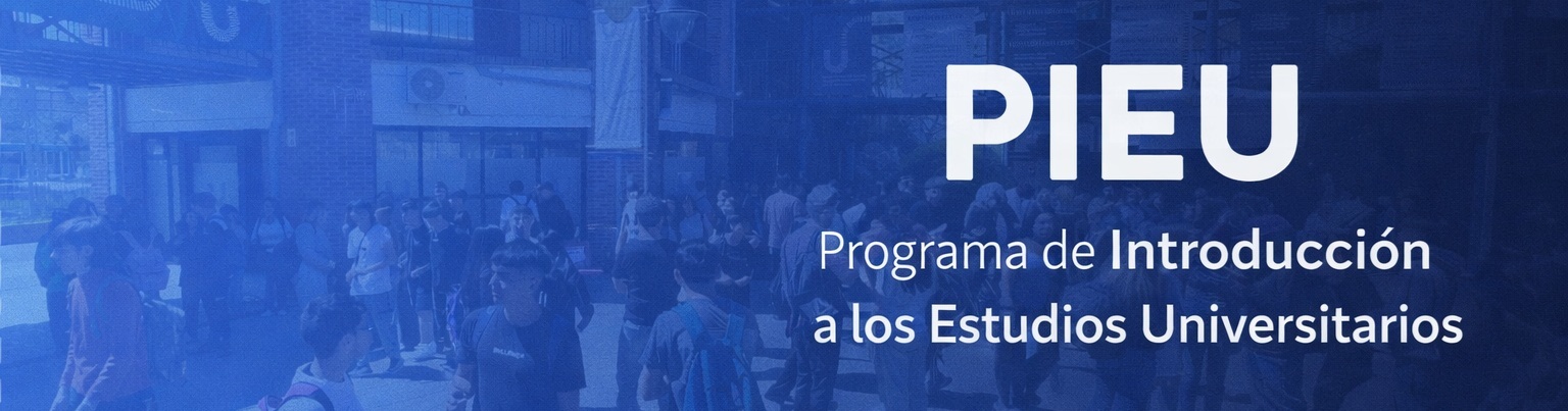 Banner PIEU